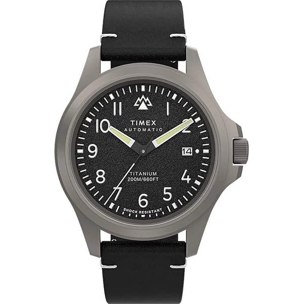 Amazon.co.jp: [Timex] 腕時計 TW2V54000JR メンズ ブラック
